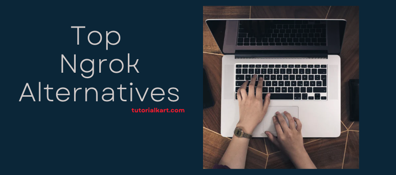 Top Ngrok Alternatives